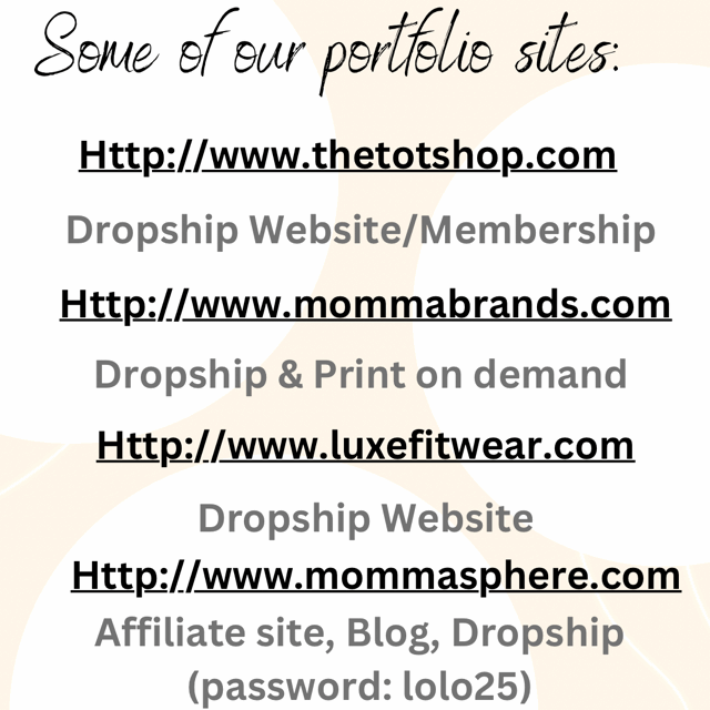 Full Set Up Affiliate Shopify Store or Hybrid Affilate/Dropship with 6 Blogs